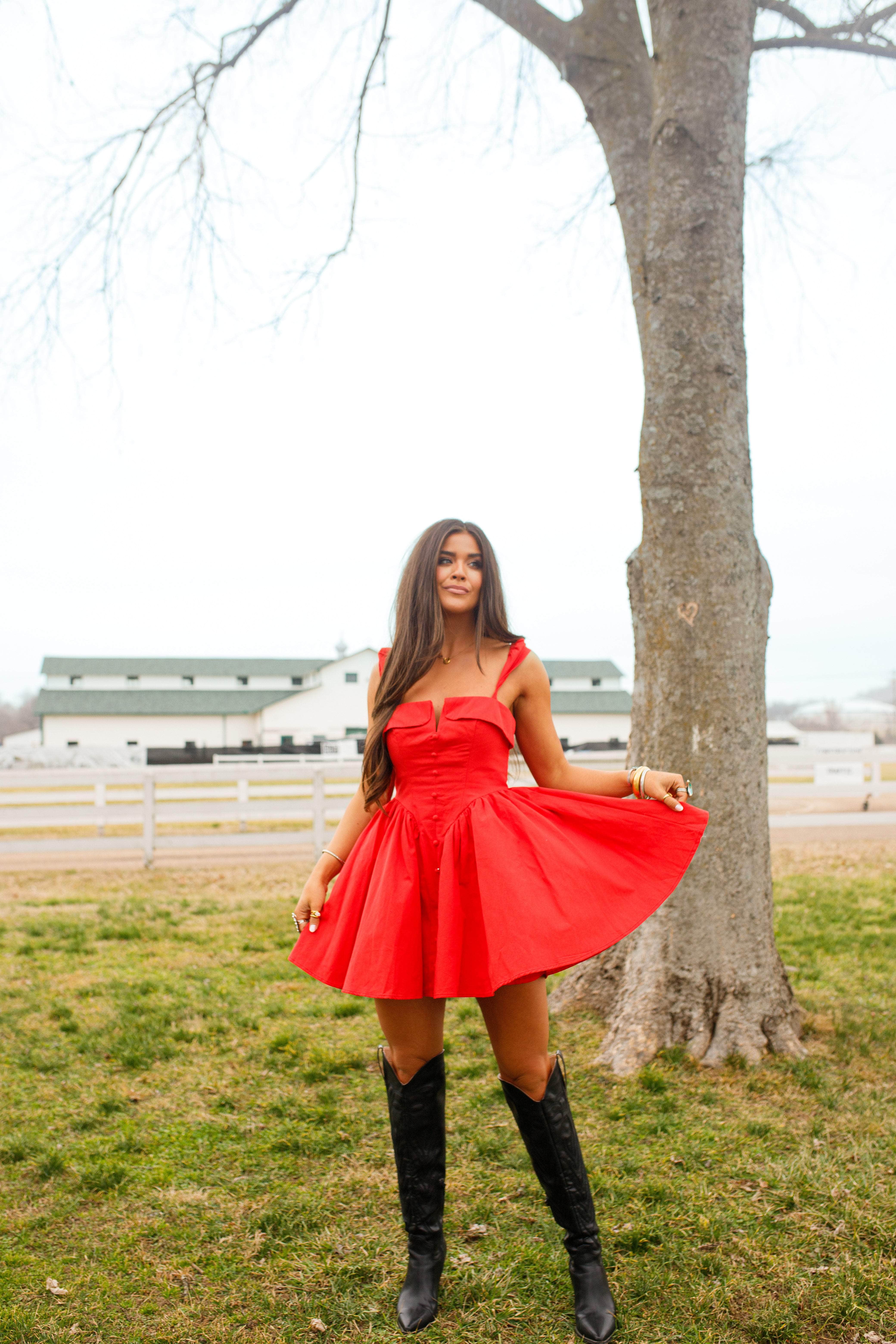 Heartland Mini Dress