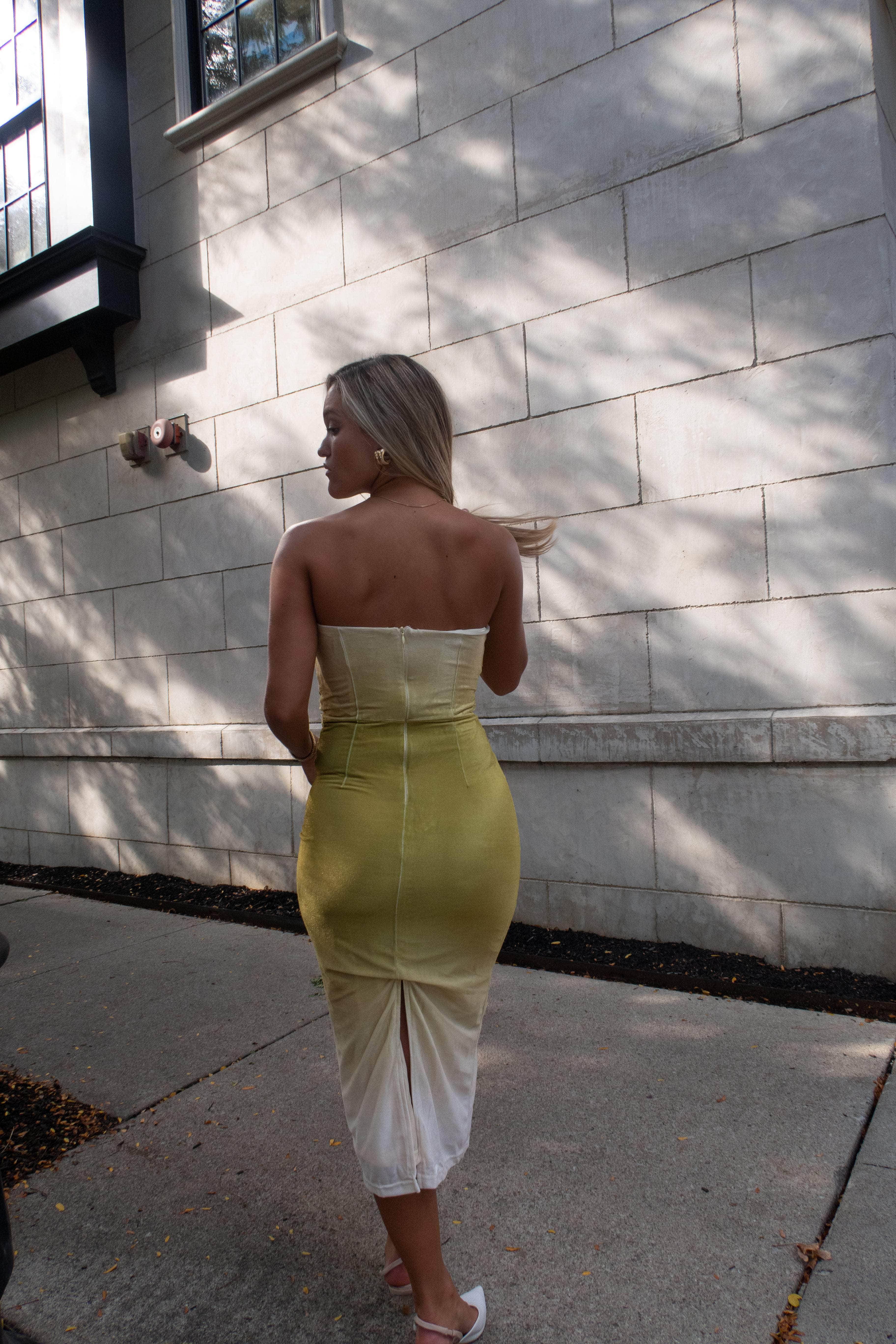 Evening Pour Velvet Dress