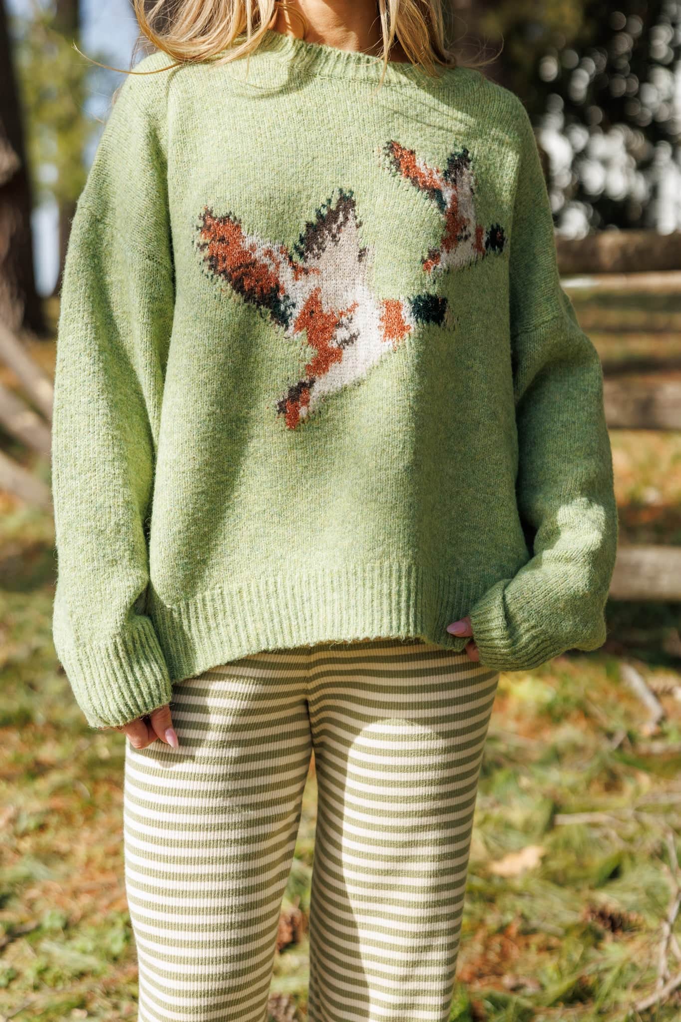 Mallard Duck Sweater | Cozy Graphic Knit Pullover | Lane 201