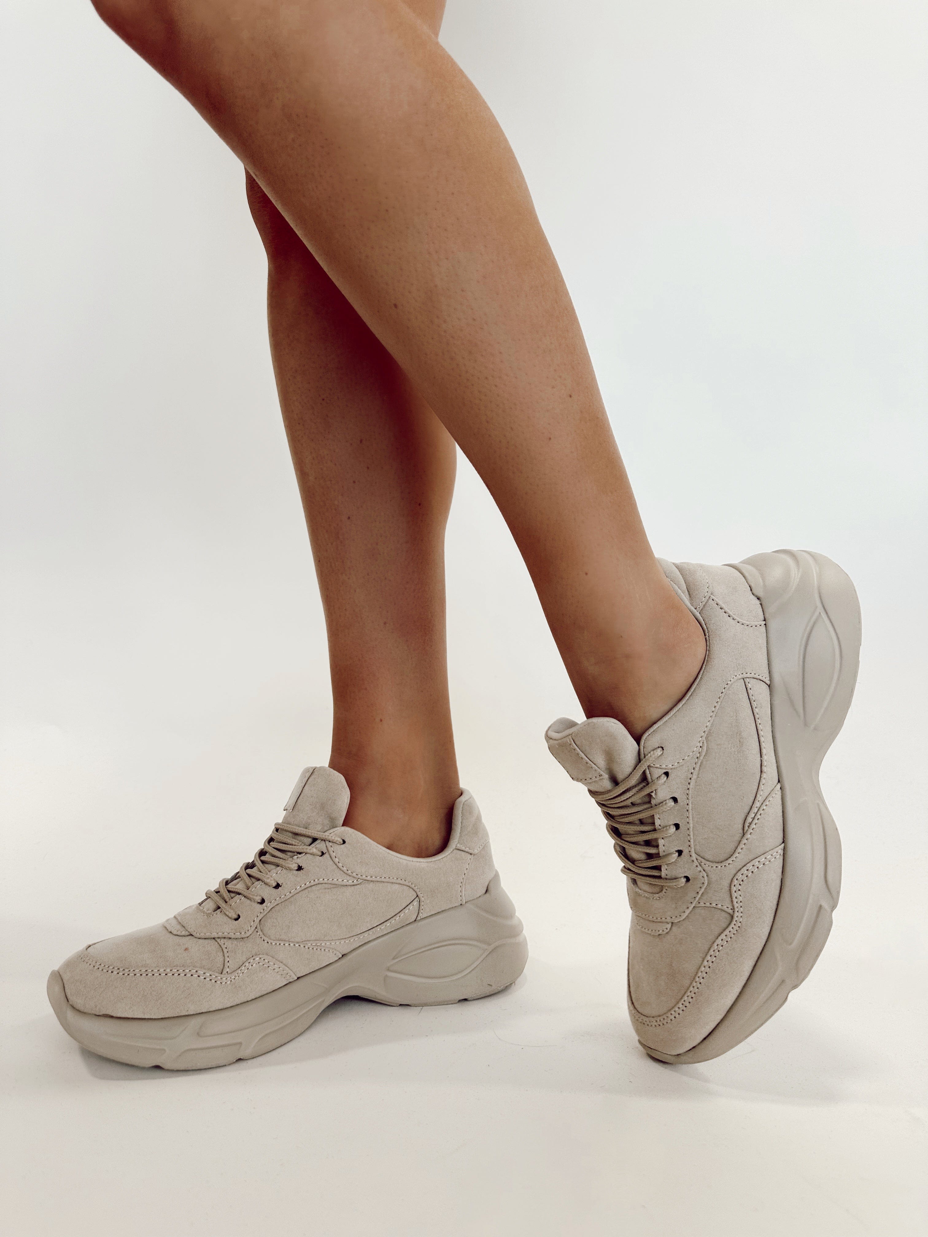 PIERS-12 oatmeal suede sneaker qupid